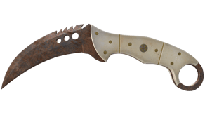 Rust Coat image