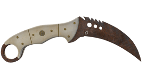 Rust Coat image