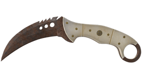 Rust Coat image