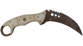 Rust Coat image