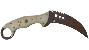 Rust Coat image