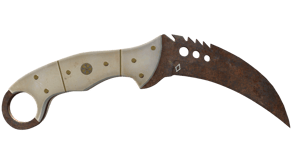 Rust Coat image