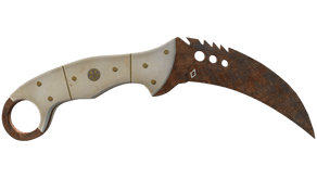 Rust Coat image