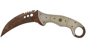 Rust Coat image