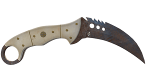 Rust Coat image