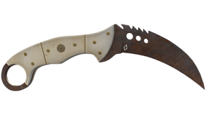 Rust Coat image