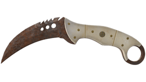 Rust Coat image