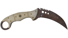 Rust Coat image