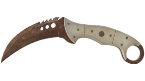 Rust Coat image
