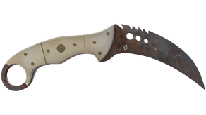 Rust Coat image