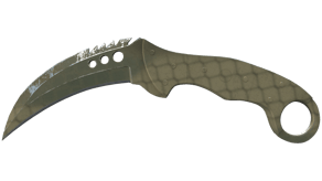 Safari Mesh image