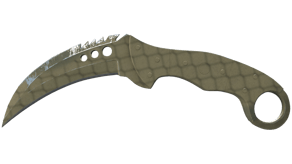 Safari Mesh image