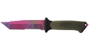 Doppler Phase 2 image