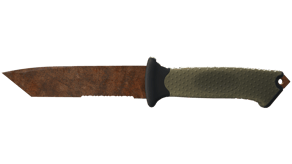 Rust Coat image