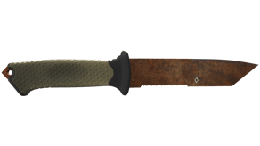 Rust Coat image