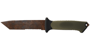 Rust Coat image