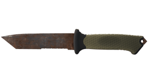 Rust Coat image