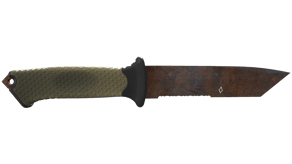 Rust Coat image