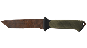 Rust Coat image