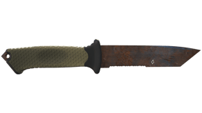 Rust Coat image