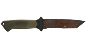 Rust Coat image