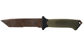 Rust Coat image