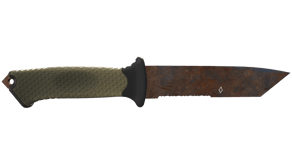 Rust Coat image