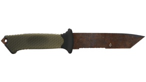 Rust Coat image