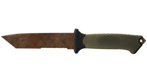 Rust Coat image