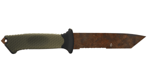 Rust Coat image