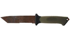 Rust Coat image