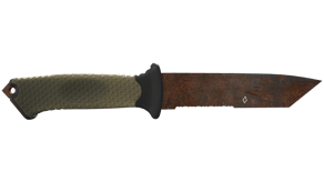 Rust Coat image