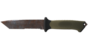 Rust Coat image