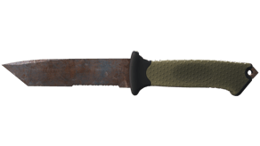 Rust Coat image