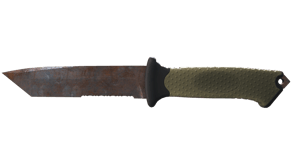 Rust Coat image