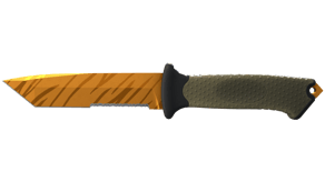 Tiger Tooth image