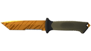 Tiger Tooth image