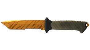 Tiger Tooth image
