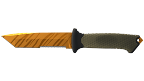 Tiger Tooth image