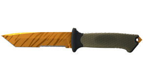 Tiger Tooth image