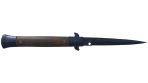 Blue Steel image