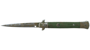 Forest DDPAT image