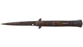 Rust Coat image