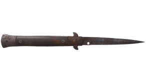 Rust Coat image