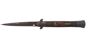 Rust Coat image