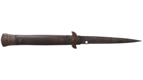 Rust Coat image