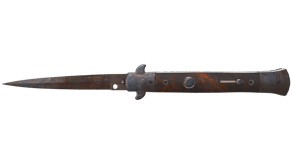 Rust Coat image