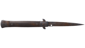 Rust Coat image