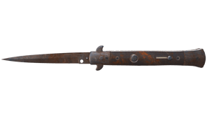 Rust Coat image
