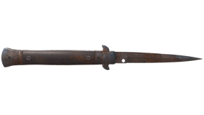 Rust Coat image